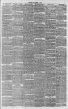 Whitstable Times and Herne Bay Herald Saturday 01 March 1890 Page 7