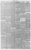 Whitstable Times and Herne Bay Herald Saturday 02 May 1891 Page 6