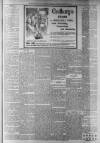 Whitstable Times and Herne Bay Herald Saturday 10 February 1900 Page 7