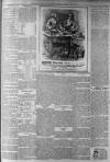 Whitstable Times and Herne Bay Herald Saturday 19 May 1900 Page 7