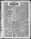 Whitstable Times and Herne Bay Herald Saturday 11 November 1905 Page 7