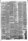 Chester Chronicle Saturday 28 August 1875 Page 7