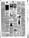 Chester Chronicle Saturday 13 January 1877 Page 3