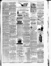 Chester Chronicle Saturday 03 February 1877 Page 3