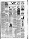 Chester Chronicle Saturday 17 February 1877 Page 3