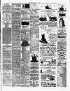 Chester Chronicle Saturday 15 June 1878 Page 3