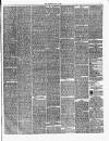 Chester Chronicle Saturday 15 June 1878 Page 7