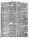 Chester Chronicle Saturday 15 November 1879 Page 7