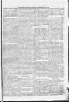 Morpeth Herald Saturday 15 November 1856 Page 5