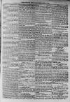 Morpeth Herald Saturday 08 May 1858 Page 5