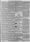 Morpeth Herald Saturday 19 February 1859 Page 5