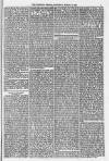 Morpeth Herald Saturday 10 March 1860 Page 7