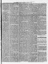 Morpeth Herald Saturday 12 January 1861 Page 5
