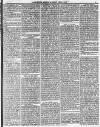 Morpeth Herald Saturday 06 April 1861 Page 7