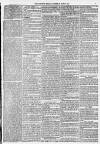Morpeth Herald Saturday 20 May 1865 Page 3