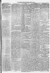 Morpeth Herald Saturday 18 March 1871 Page 3