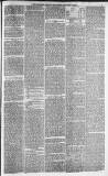 Morpeth Herald Saturday 17 January 1874 Page 3