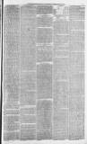 Morpeth Herald Saturday 21 February 1874 Page 3