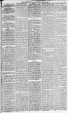 Morpeth Herald Saturday 11 April 1874 Page 3