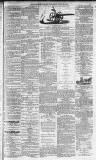 Morpeth Herald Saturday 18 July 1874 Page 5