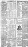Morpeth Herald Saturday 22 August 1874 Page 7