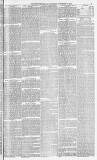 Morpeth Herald Saturday 07 November 1874 Page 3