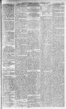 Morpeth Herald Saturday 13 February 1875 Page 3