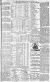 Morpeth Herald Saturday 13 February 1875 Page 7