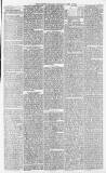Morpeth Herald Saturday 03 April 1875 Page 3