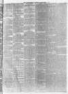 Morpeth Herald Saturday 19 June 1875 Page 3
