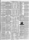Morpeth Herald Saturday 08 April 1876 Page 7