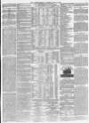 Morpeth Herald Saturday 13 May 1876 Page 7