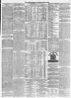 Morpeth Herald Saturday 20 May 1876 Page 7