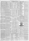 Morpeth Herald Saturday 03 June 1876 Page 7