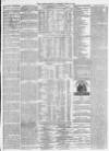 Morpeth Herald Saturday 10 June 1876 Page 7