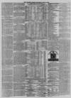 Morpeth Herald Saturday 03 March 1877 Page 7