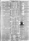 Morpeth Herald Saturday 01 March 1879 Page 7