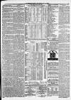 Morpeth Herald Saturday 31 July 1880 Page 7