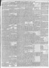 Morpeth Herald Saturday 16 April 1887 Page 3