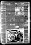 Morpeth Herald Saturday 22 March 1890 Page 7