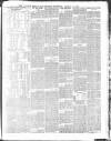 Morpeth Herald Saturday 02 March 1895 Page 7