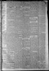 Staffordshire Sentinel Saturday 16 February 1861 Page 3