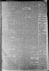 Staffordshire Sentinel Saturday 16 February 1861 Page 5