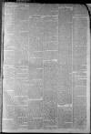 Staffordshire Sentinel Saturday 23 February 1861 Page 3