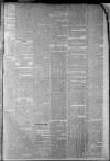 Staffordshire Sentinel Saturday 09 March 1861 Page 3