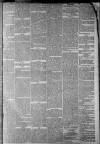 Staffordshire Sentinel Saturday 16 March 1861 Page 5