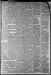 Staffordshire Sentinel Saturday 16 March 1861 Page 7