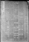 Staffordshire Sentinel Saturday 23 March 1861 Page 3