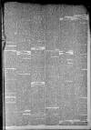 Staffordshire Sentinel Saturday 01 October 1864 Page 8