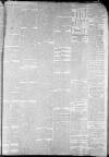 Staffordshire Sentinel Saturday 12 August 1865 Page 4